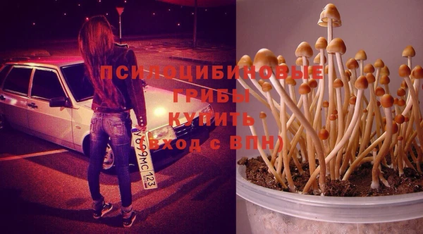 кристаллы Алексеевка