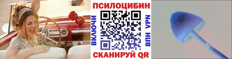 KRAKEN как зайти  Дзержинский  Галлюциногенные грибы Cubensis 